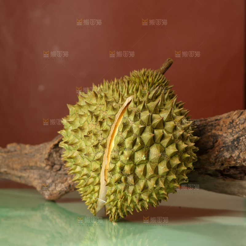 巴掌榴莲