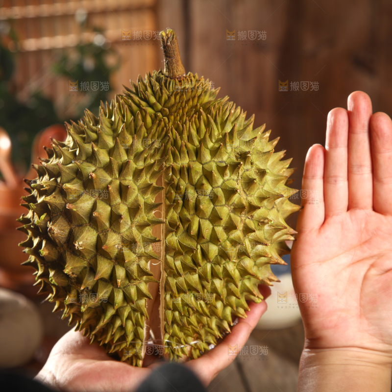 巴掌榴莲