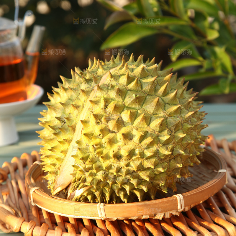 巴掌榴莲