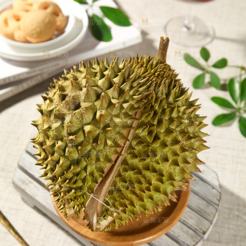 巴掌榴莲