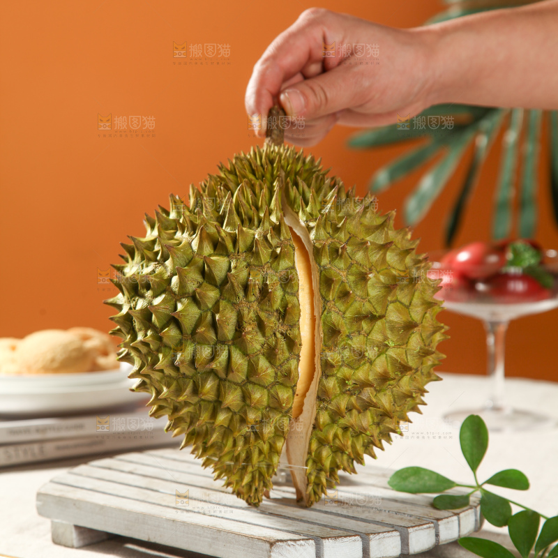 巴掌榴莲