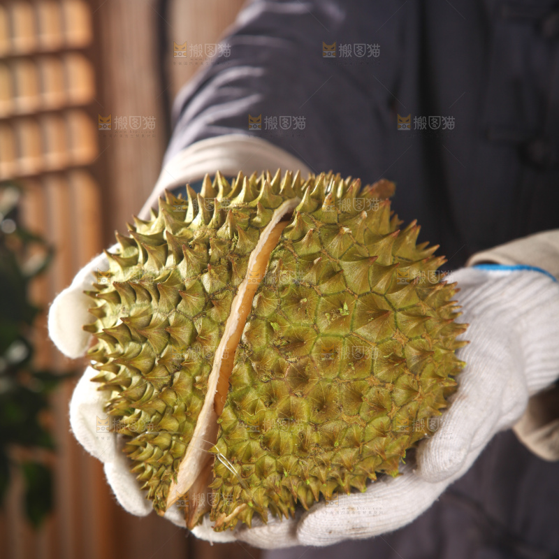 巴掌榴莲