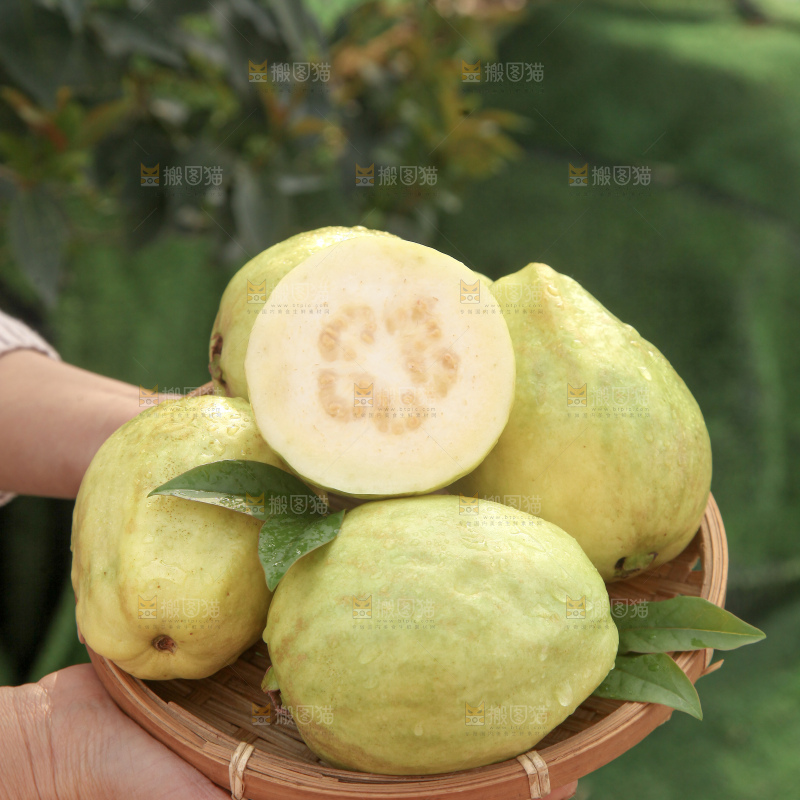 奶油芭乐