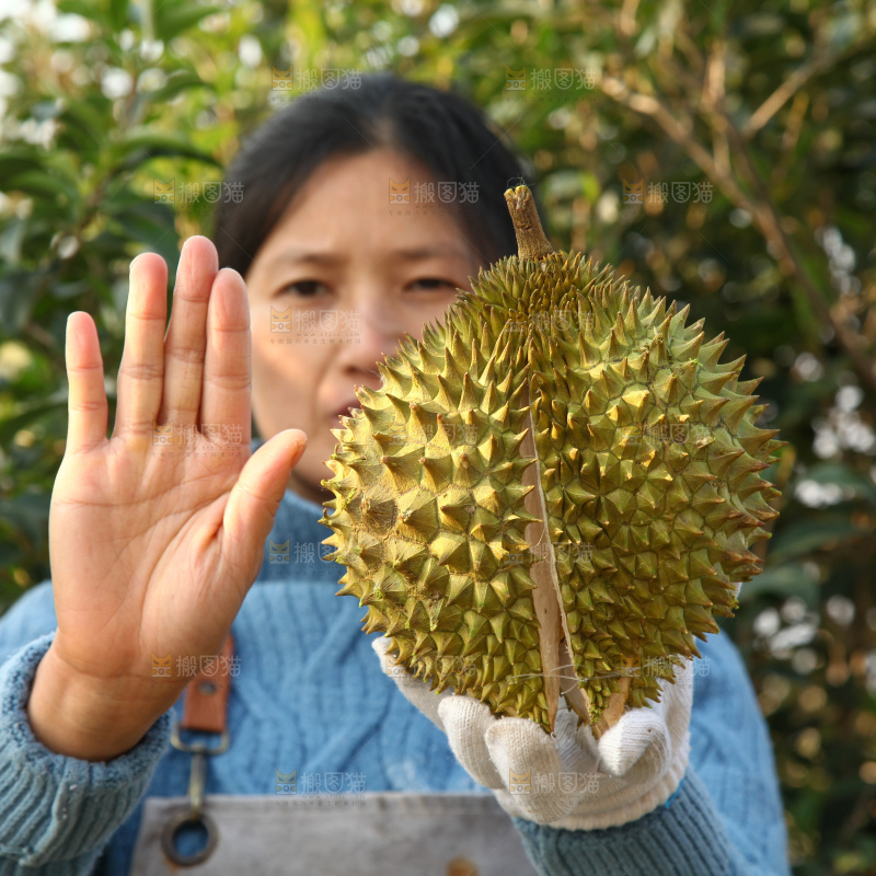 巴掌榴莲