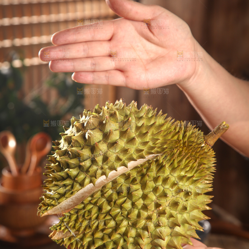 巴掌榴莲