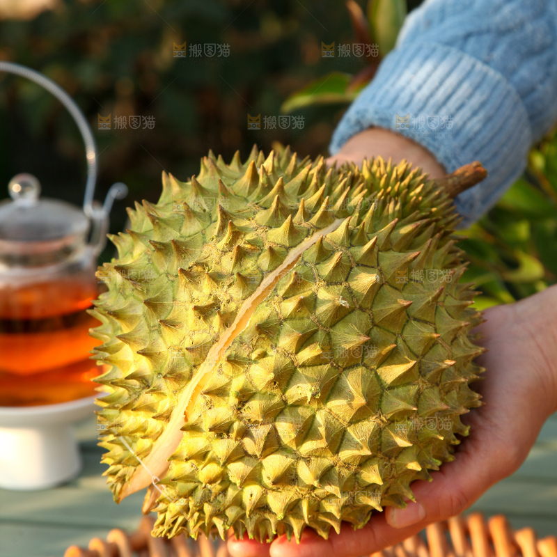巴掌榴莲