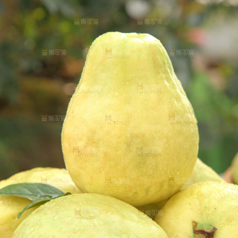 奶油芭乐