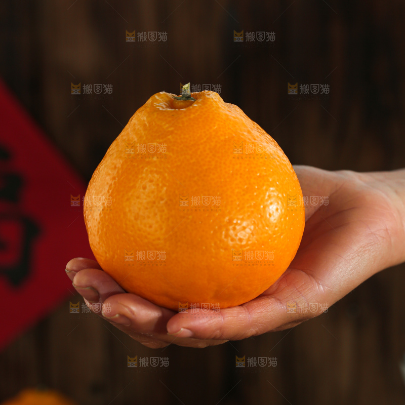春见耙耙柑