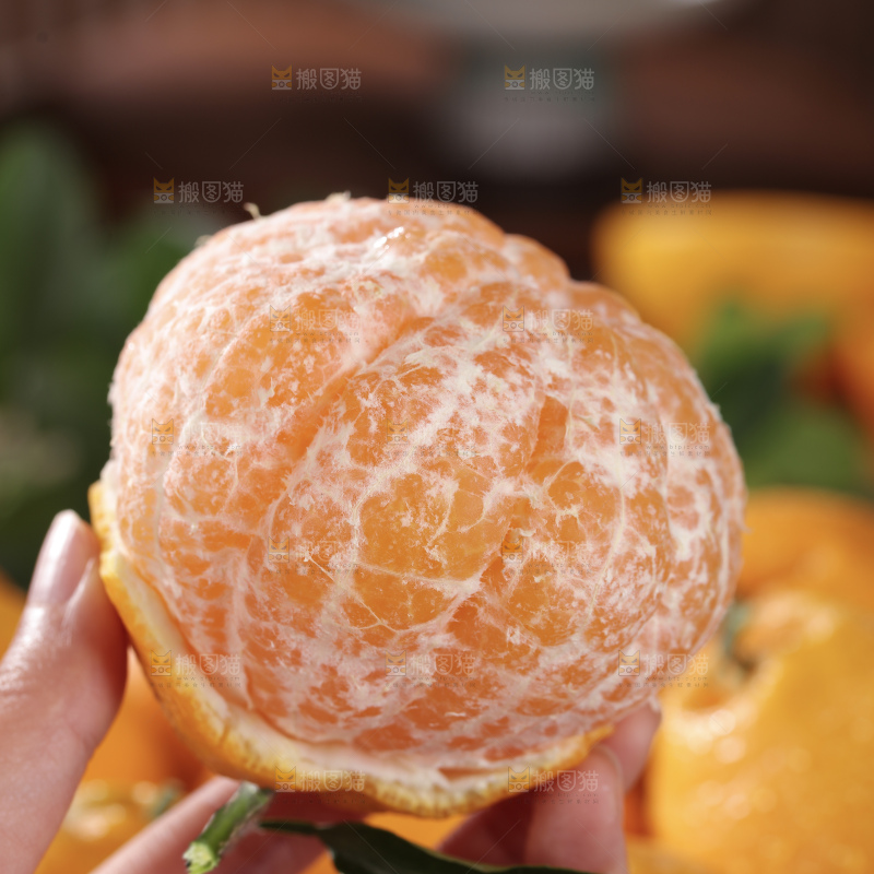 春见耙耙柑