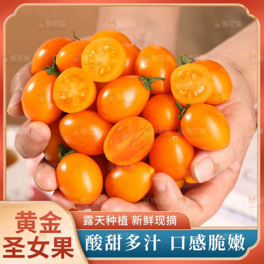 黄金圣女果主图