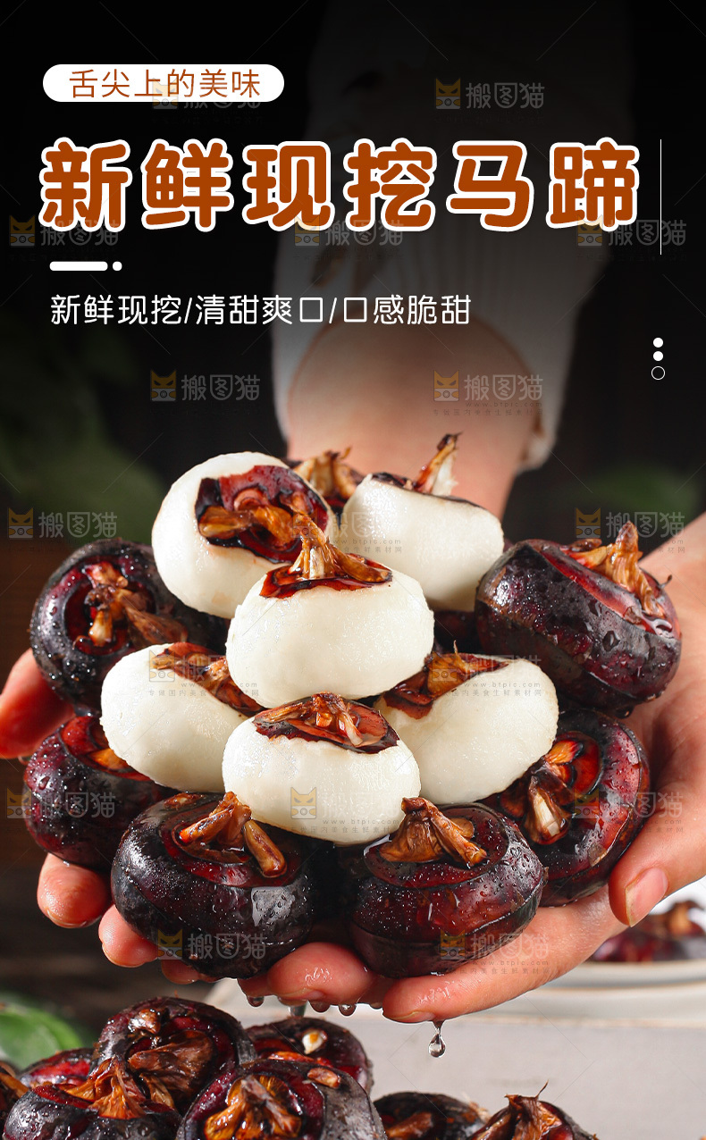 马蹄详情页