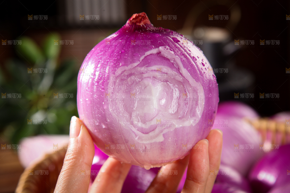 洋葱