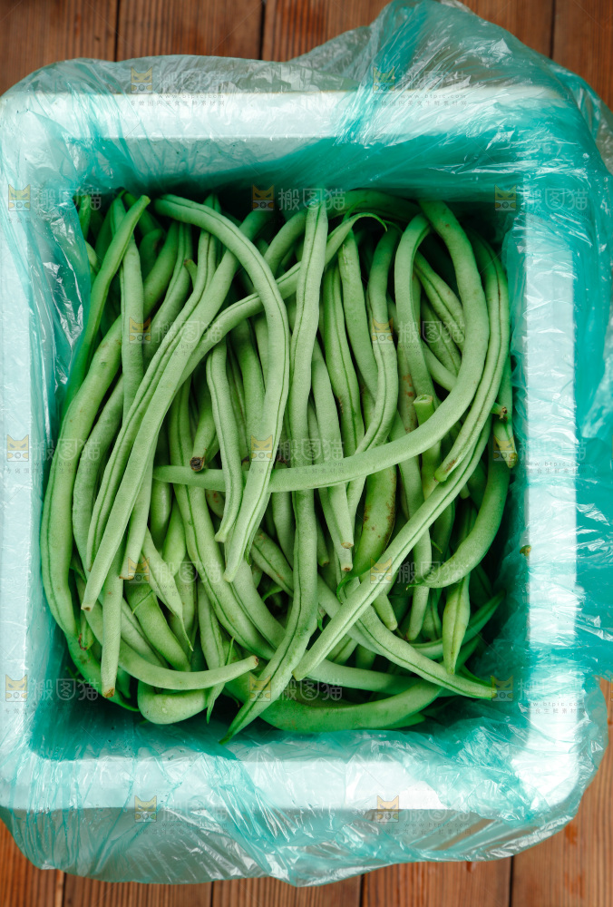 四季豆