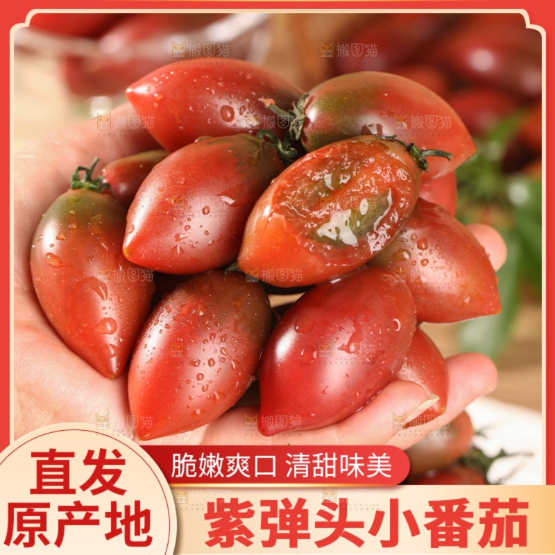 紫弹头番茄主图