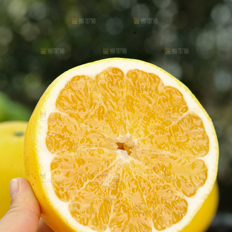 黄金葡萄柚