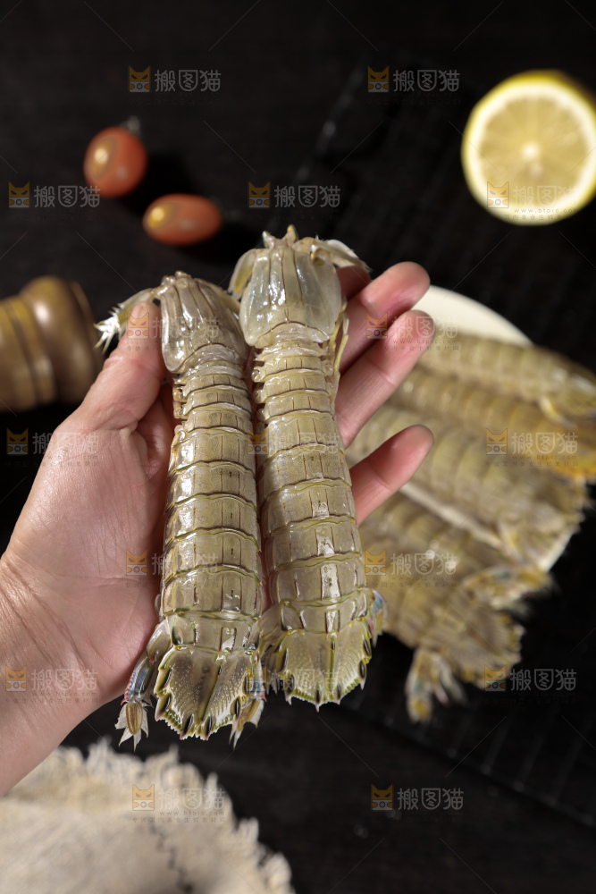 皮皮虾