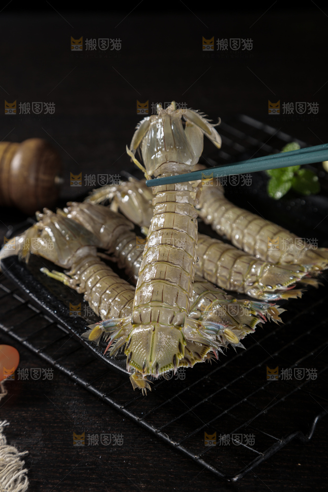 皮皮虾
