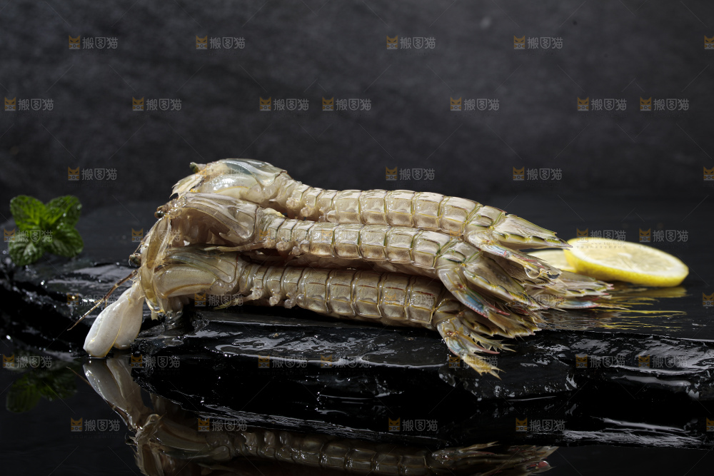 皮皮虾