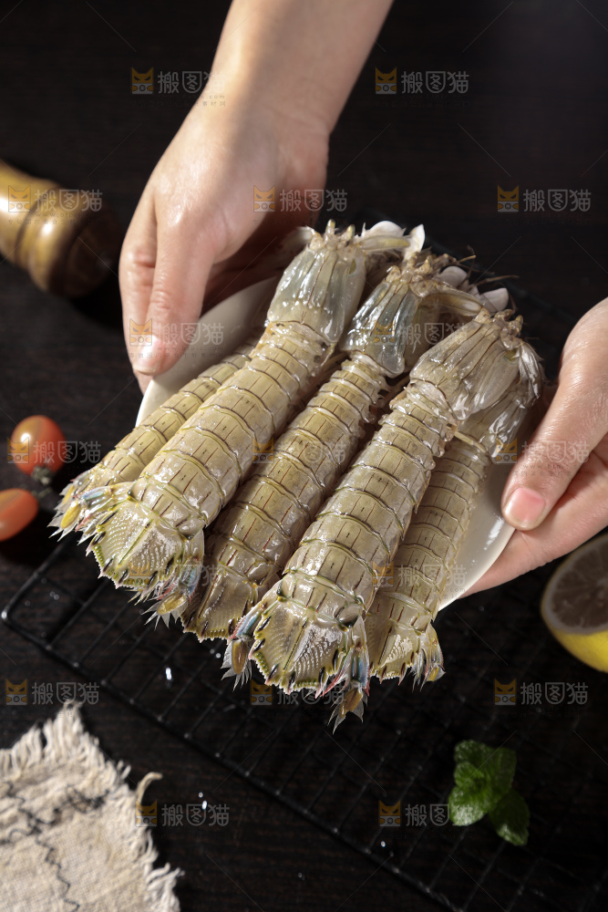 皮皮虾