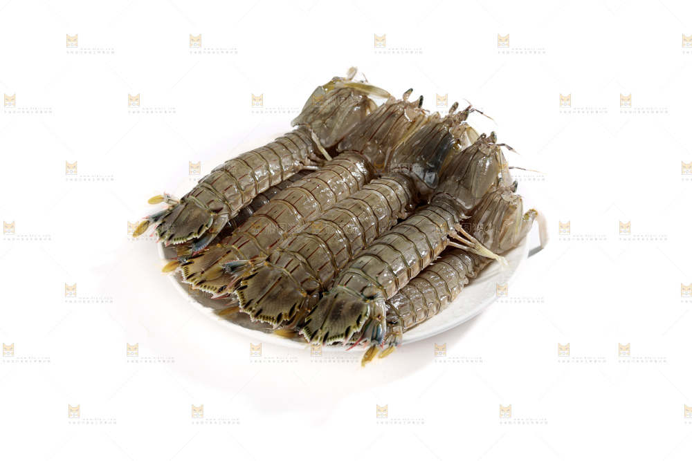 皮皮虾
