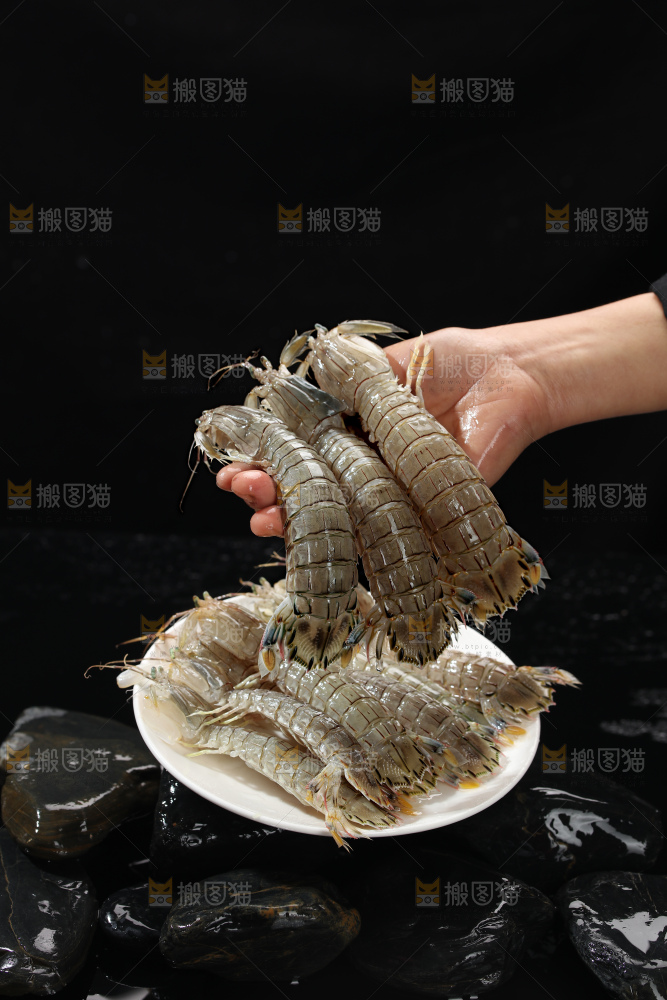 皮皮虾