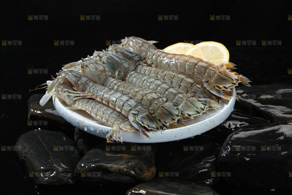 皮皮虾