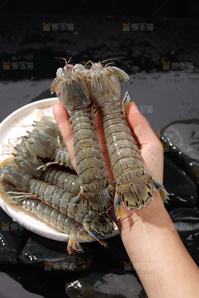 皮皮虾