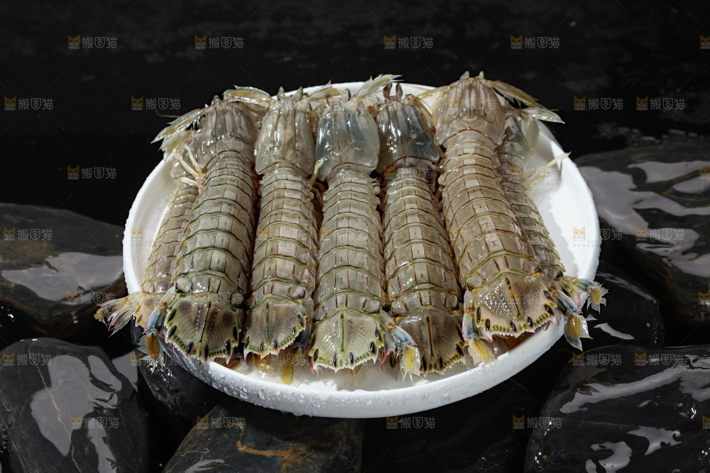 皮皮虾