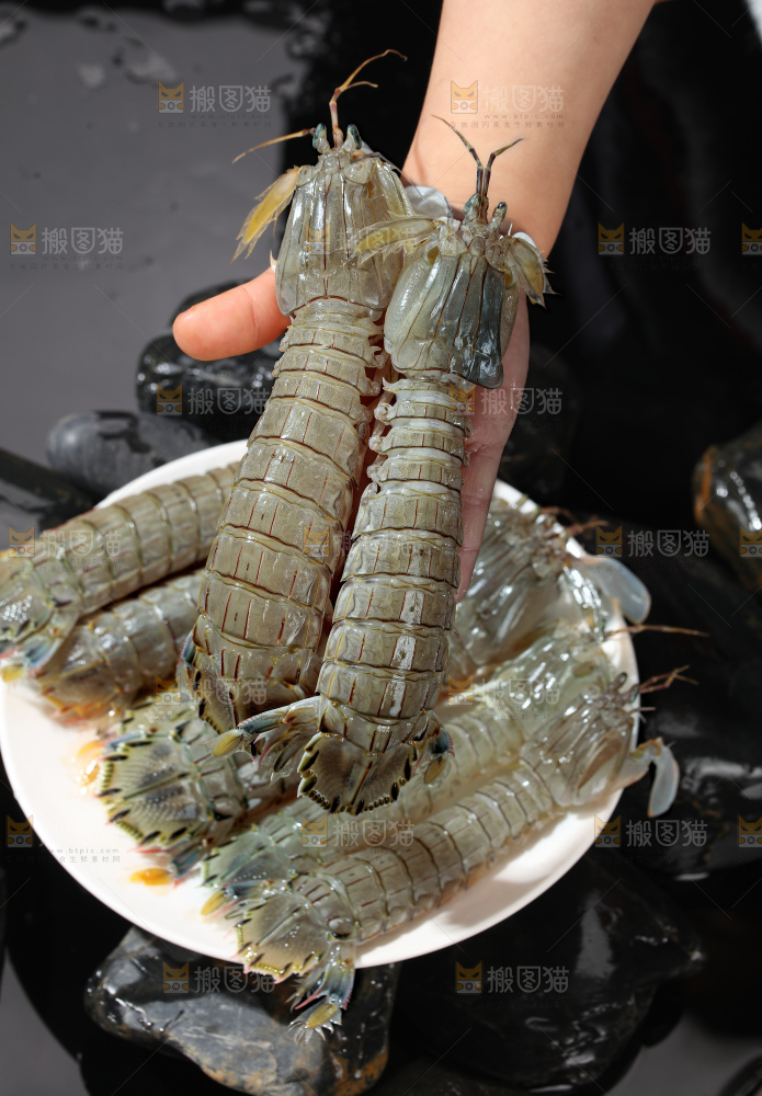 皮皮虾