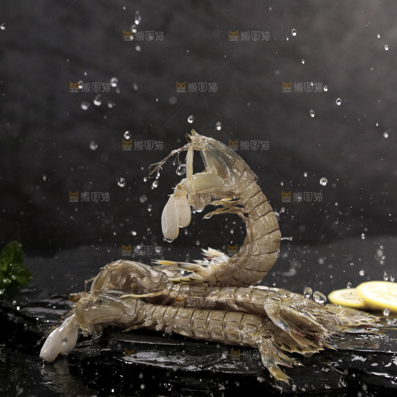 皮皮虾
