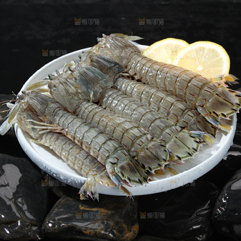 皮皮虾