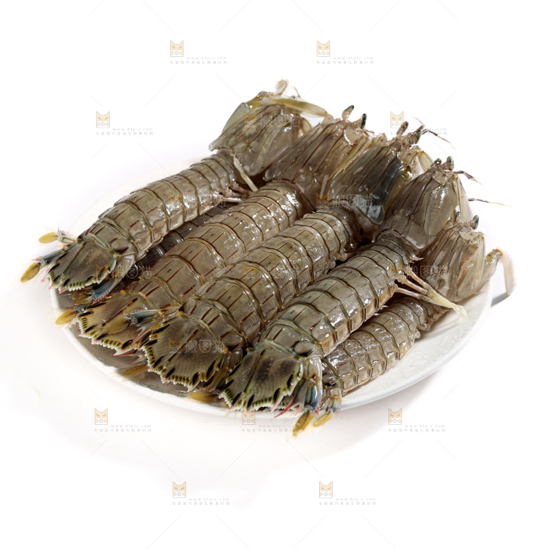 皮皮虾