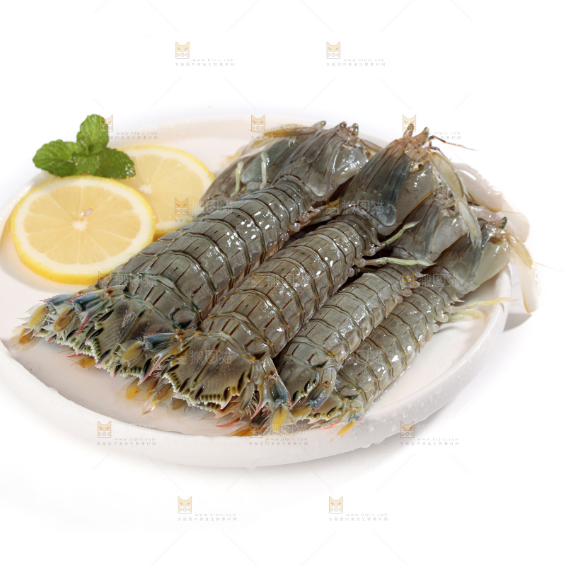 皮皮虾