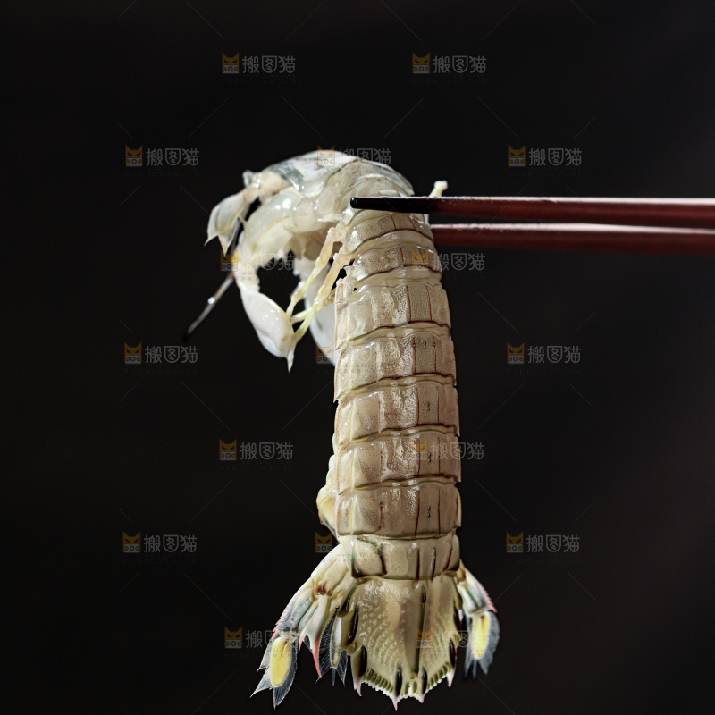 皮皮虾