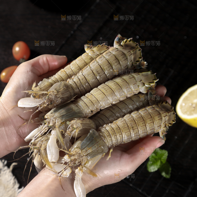 皮皮虾