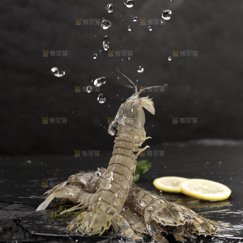 皮皮虾