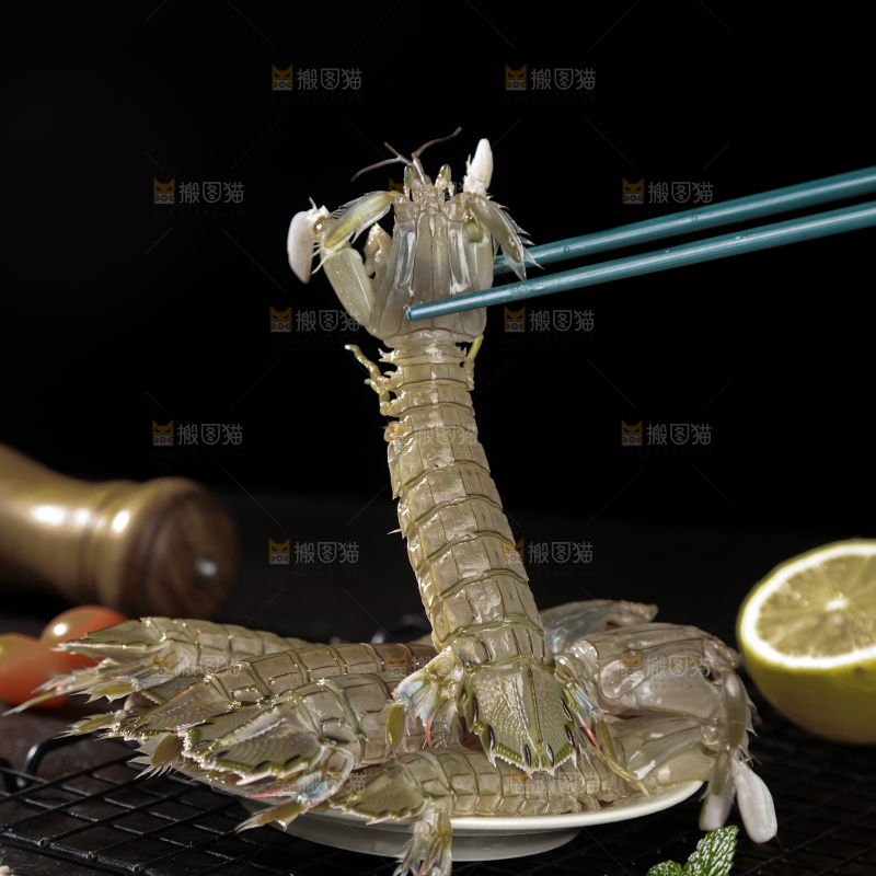 皮皮虾