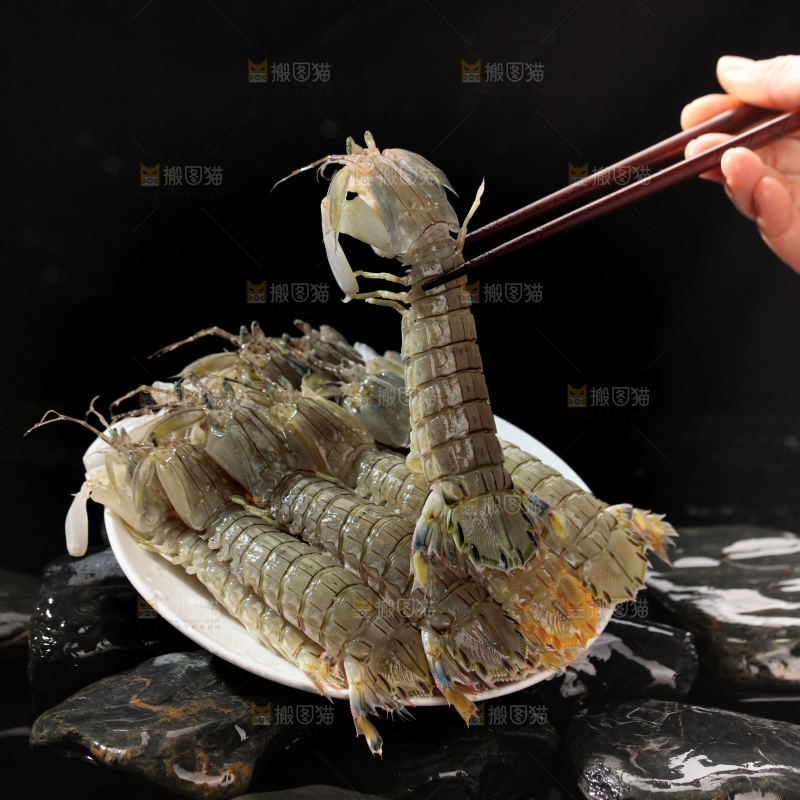 皮皮虾