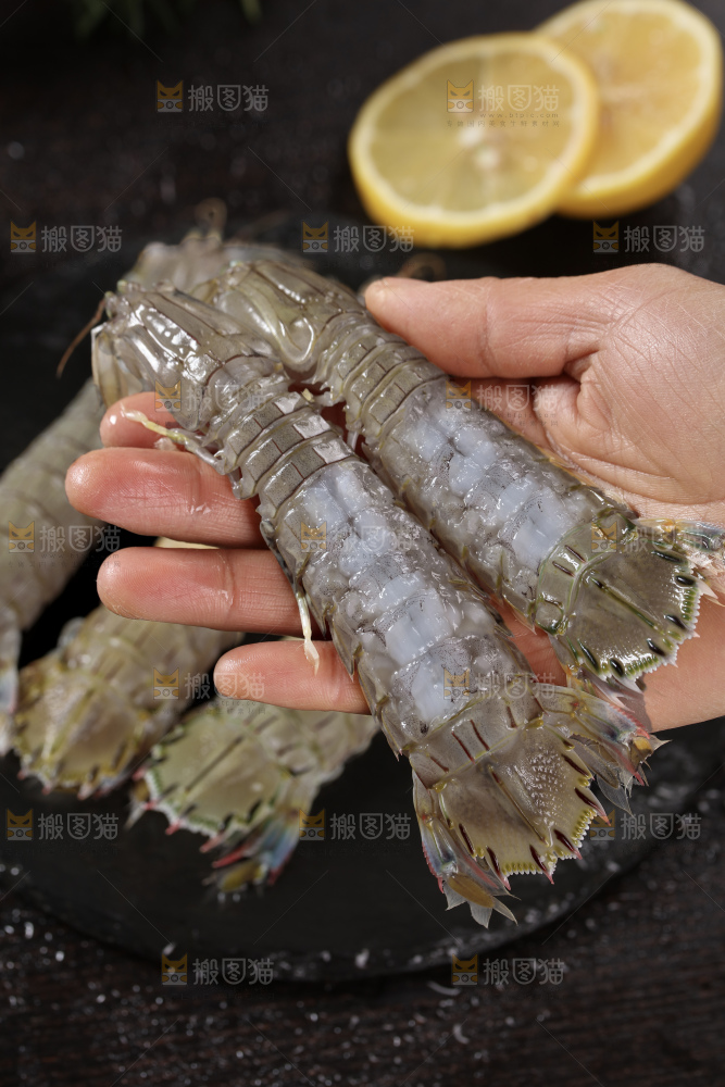 皮皮虾
