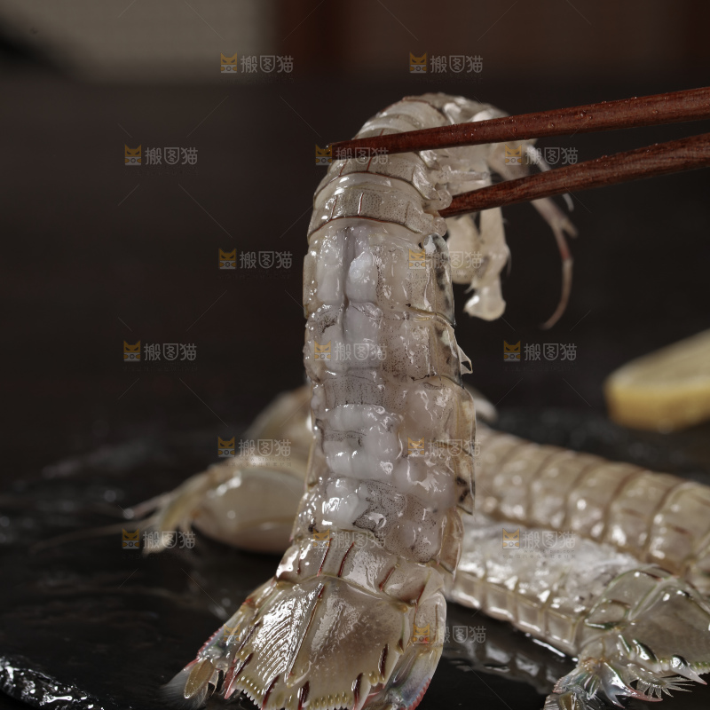皮皮虾