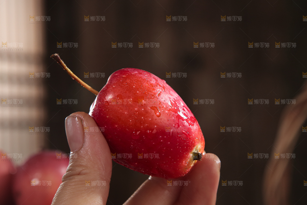 鸡心果