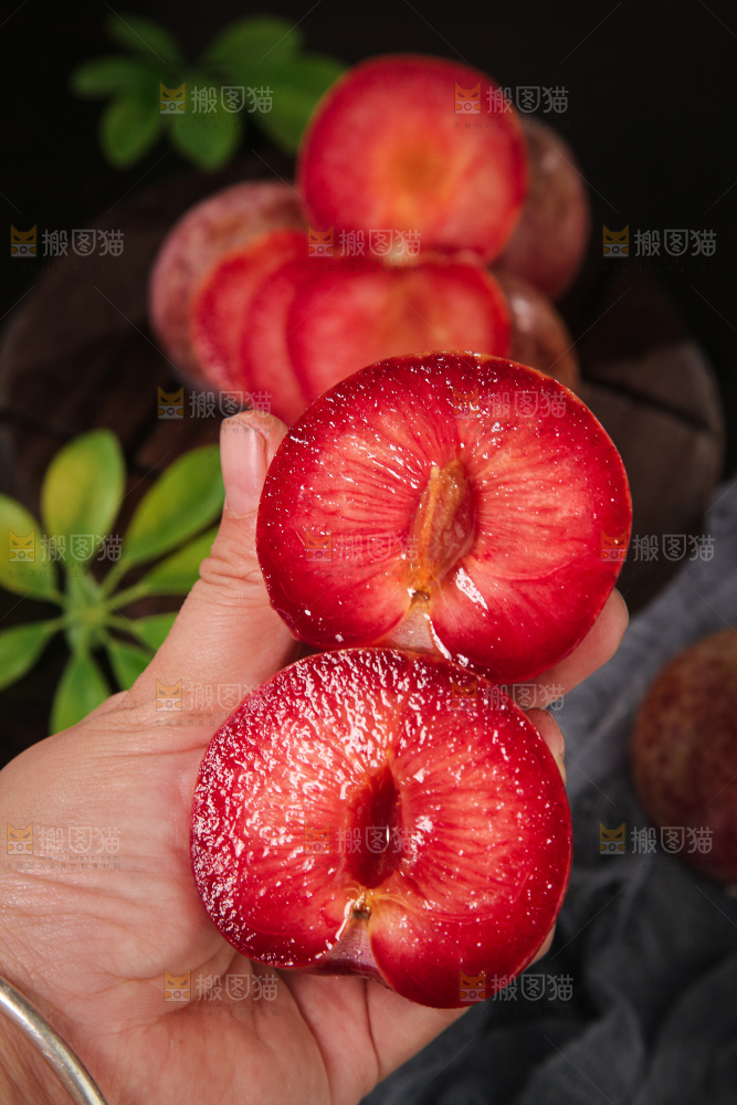 恐龙蛋李