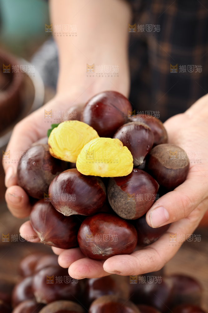 丹东大板栗