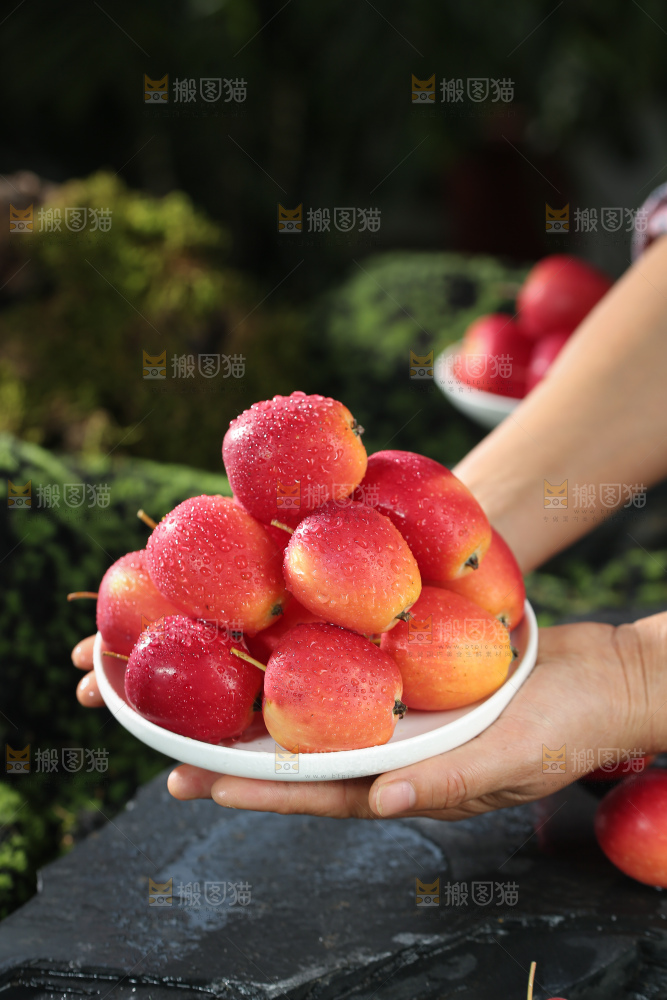 鸡心果