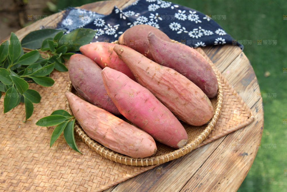 四色蜜薯