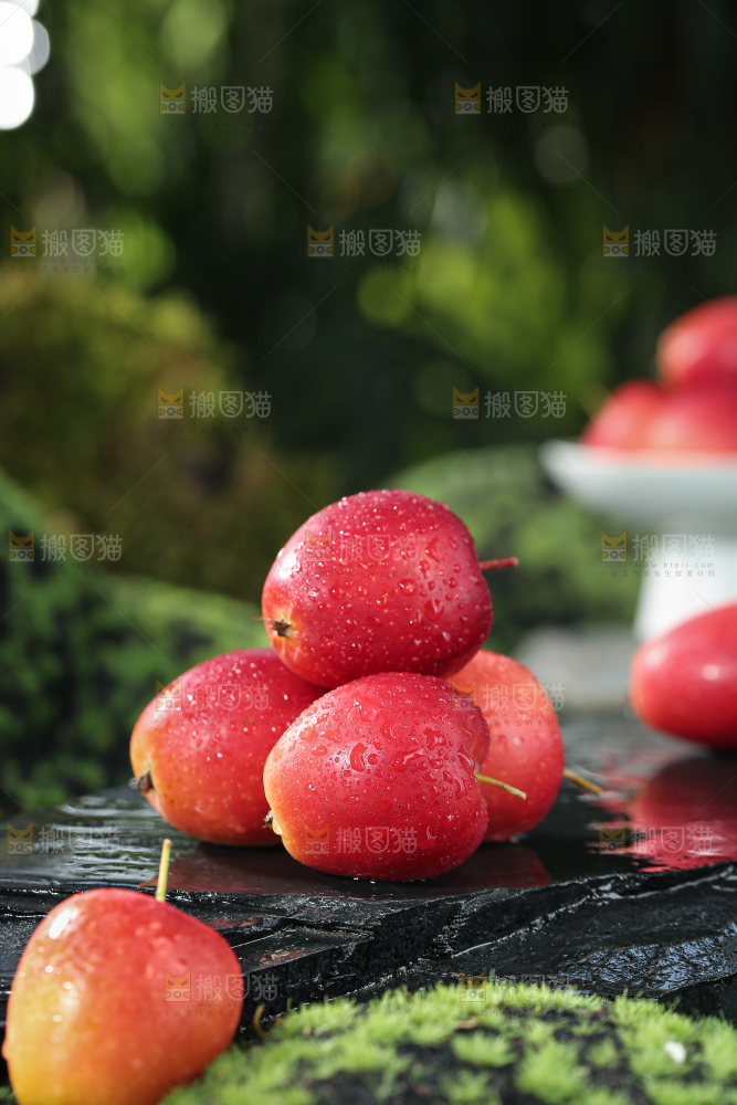 鸡心果