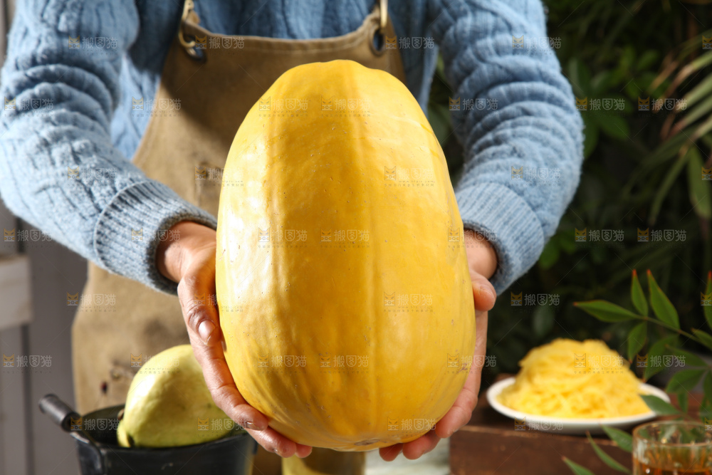 拉丝瓜