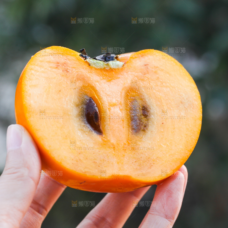 脆柿