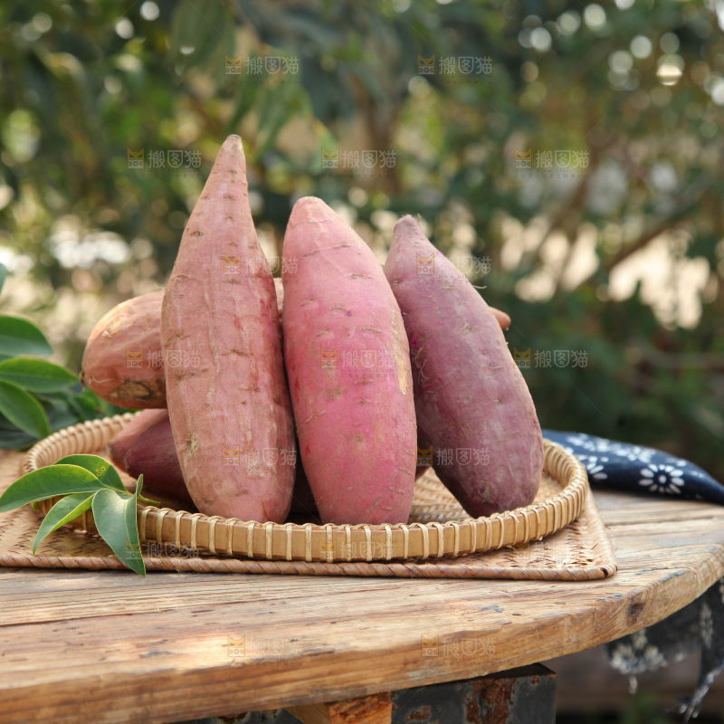 四色蜜薯