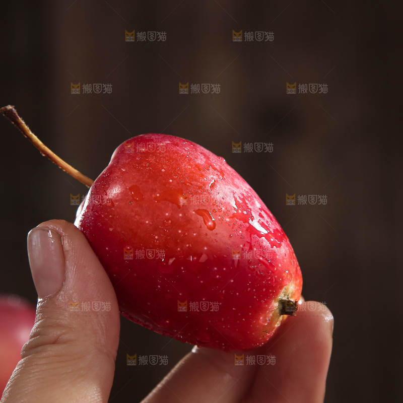 鸡心果